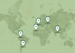 Brief Proyecto In Situ