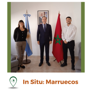 In Situ Marruecos
