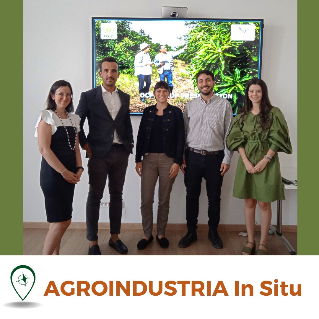 Lee más sobre el artículo Reunión de cooperación con la Oficina Jerifiana del Fosfato -OCP Group